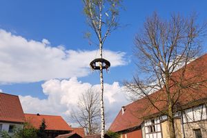 Maibäume in Vellberg und den Teilorten